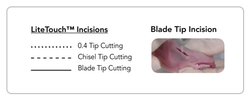 Blade tip